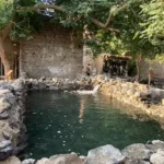 بستان المستظل: ملاذ النبي قبل دخول المدينة المنورة