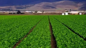 حظ برج العقرب اليوم: إنجازات وبشائر مالية
