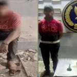 القبض على لص أسلاك الإنارة في الإسكندرية