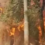 إجراءات رادعة ضد حرق المخلفات الزراعية بالوادى الجديد