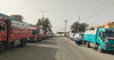 توريد 525 ألف طن من القمح المحلى في المنيا