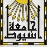 استئصال ورم مبيضي ضخم في جامعة أسيوط