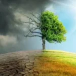 حاجز أوميجا وموجات الحر في أوروبا