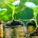 مبادرة الإلكترونيات الدائرية تعزز الاقتصاد الأخضر في مصر