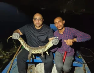 اصطياد تمساح نيلي في القليوبية