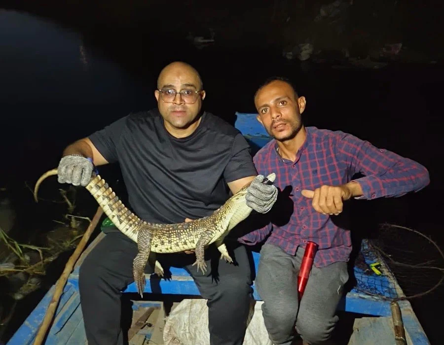 اصطياد تمساح نيلي في القليوبية