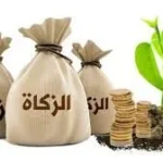 جواز إخراج الزكاة في صورة منتجات مصنعة