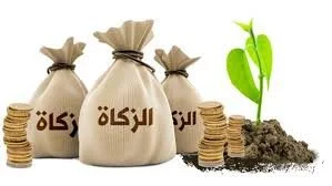 جواز إخراج الزكاة في صورة منتجات مصنعة