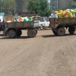 توريد 207 آلاف طن قمح في الغربية