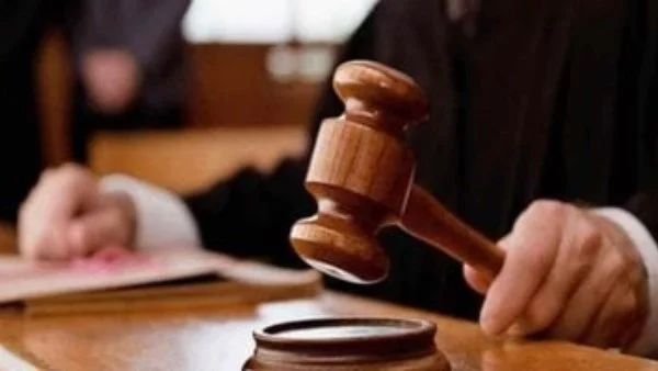 إخلاء سبيل زوج البلوجر دنيا فؤاد بكفالة 20 ألف جنيه