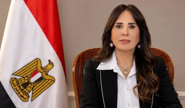 إنجازات مياه الشرب والصرف الصحي في مصر منذ 2014