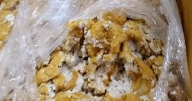 ضبط 27 طن من اللحوم الفاسدة في الخانكة