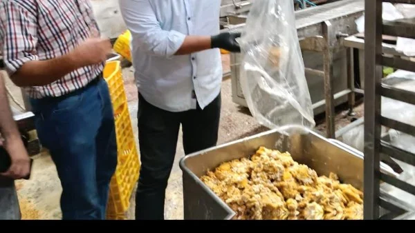 ضبط 27 طناً من اللحوم الفاسدة بالقليوبية