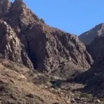 جبل علبة: لؤلؤة محميات البحر الأحمر