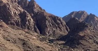 جبل علبة: لؤلؤة محميات البحر الأحمر