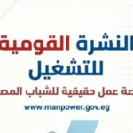 1590 فرصة عمل جديدة للشباب في 11 محافظة