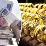 سعر الذهب اليوم في مصر 12 يونيو 2026