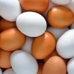 انخفاض أسعار بيض المائدة وأسبابه
