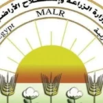 الزراعة توضح حقيقة فيديوهات الأسمدة المتداولة