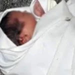 جريمة مأساوية في المنيا: رضيع يتعرض للقتل بعد ولادته