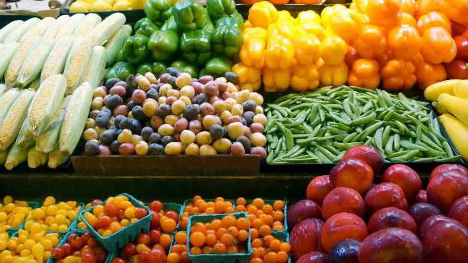 وزير الزراعة: الصادرات الزراعية المصرية تتجاوز 5 ملايين طن