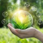 المناطق الاستثمارية تعزز الاقتصاد الأخضر في مصر