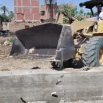 طريقة تحضير طاجن لسان العصفور في الفرن
