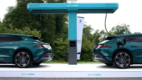 بطارية BYD الخارقة تتحدى تسلا بشبكة شحن سريعة