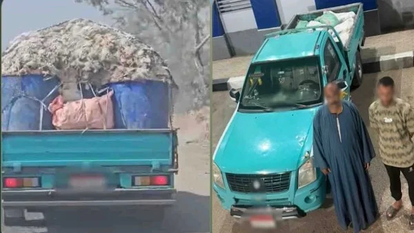 ضبط سيارة محملة بدواجن نافقة في الشرقية
