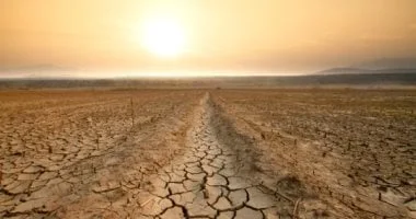 انطلاق الأسبوع الوطني للتنمية المستدامة تحت شعار 2026