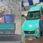 الأمن يحقق في فيديو دواجن نافقة بالشرقية