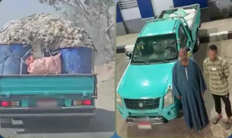 الأمن يحقق في فيديو دواجن نافقة بالشرقية