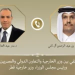 وزير الخارجية المصري يؤكد رفض أي تهديد لأمن الخليج