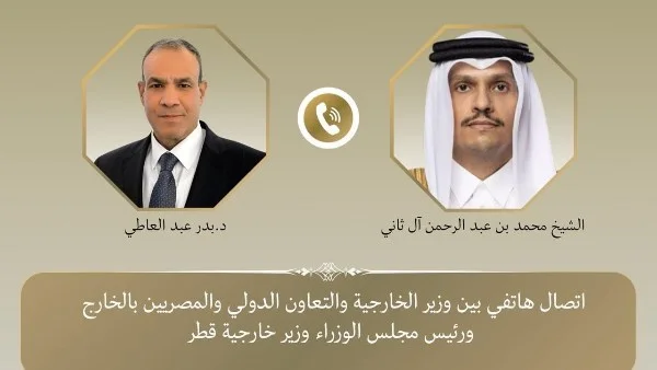 وزير الخارجية المصري يؤكد رفض أي تهديد لأمن الخليج