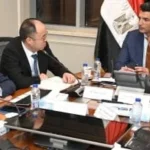 خطة توسع شركة الإطارات الصينية في مصر