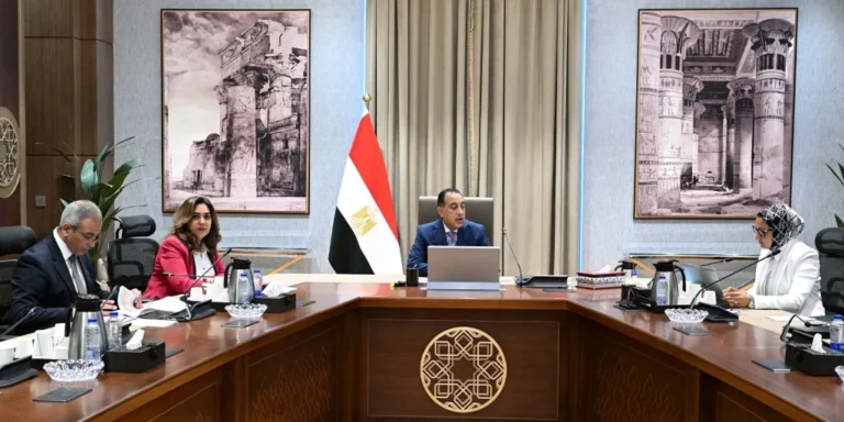 متابعة تنفيذ المشروعات التنموية في الوادي الجديد