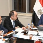 توسعات جديدة لشركة صينية للإطارات في مصر