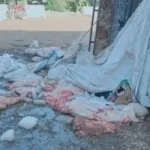 انقلاب سيارة نقل بسوهاج يكشف لحوماً مجهولة المصدر