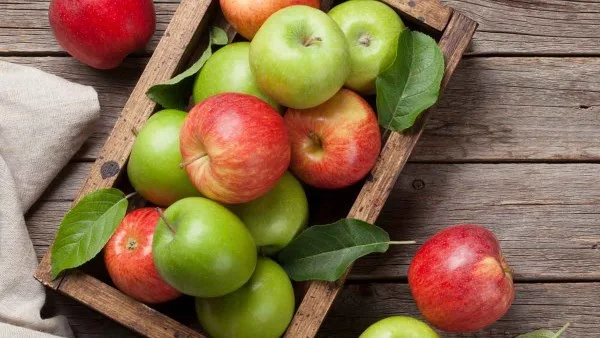 فوائد التفاح في محاربة السرطان والتهاب المفاصل