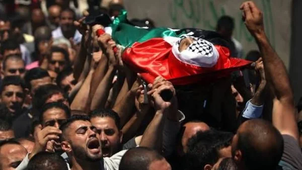 التحركات المصرية الدبلوماسية تجاه فلسطين تتواصل بلا توقف