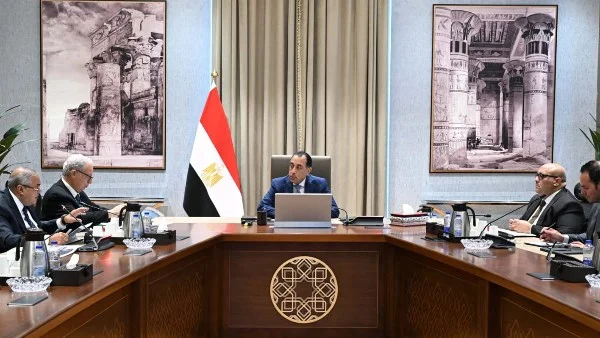 تحسين كفاءة الشركات الحكومية في مصر
