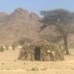 “الليكاب: رمز الكرم البدوي في حلايب وشلاتين”