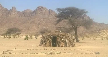 "الليكاب: رمز الكرم البدوي في حلايب وشلاتين"