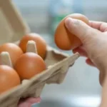 طرق تخزين البيض لفترة طويلة بعد انخفاض أسعارها