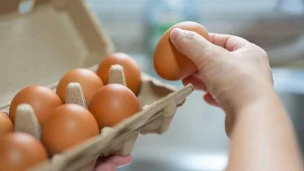 طرق تخزين البيض لفترة طويلة بعد انخفاض أسعارها