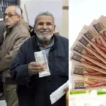 متوسط المعاش في مصر 5200 جنيه.. تفاصيل وحقائق