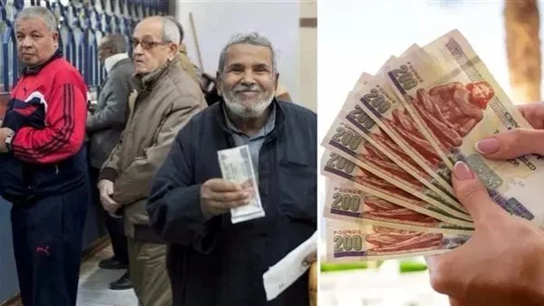 متوسط المعاش في مصر 5200 جنيه.. تفاصيل وحقائق
