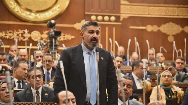 ياسر جلال ينتقد ضعف الثقافة والإعلام في خطة التنمية