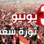 ثورة 30 يونيو: إعادة بناء الهوية المصرية