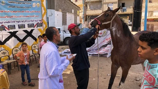 قافلة طبية بيطرية مجانية في قرية نشا بالدقهلية